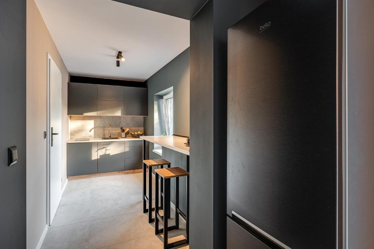Loft House Apartment Studio Z Ogrodkiem 3 Rybnik  Eksteriør bilde
